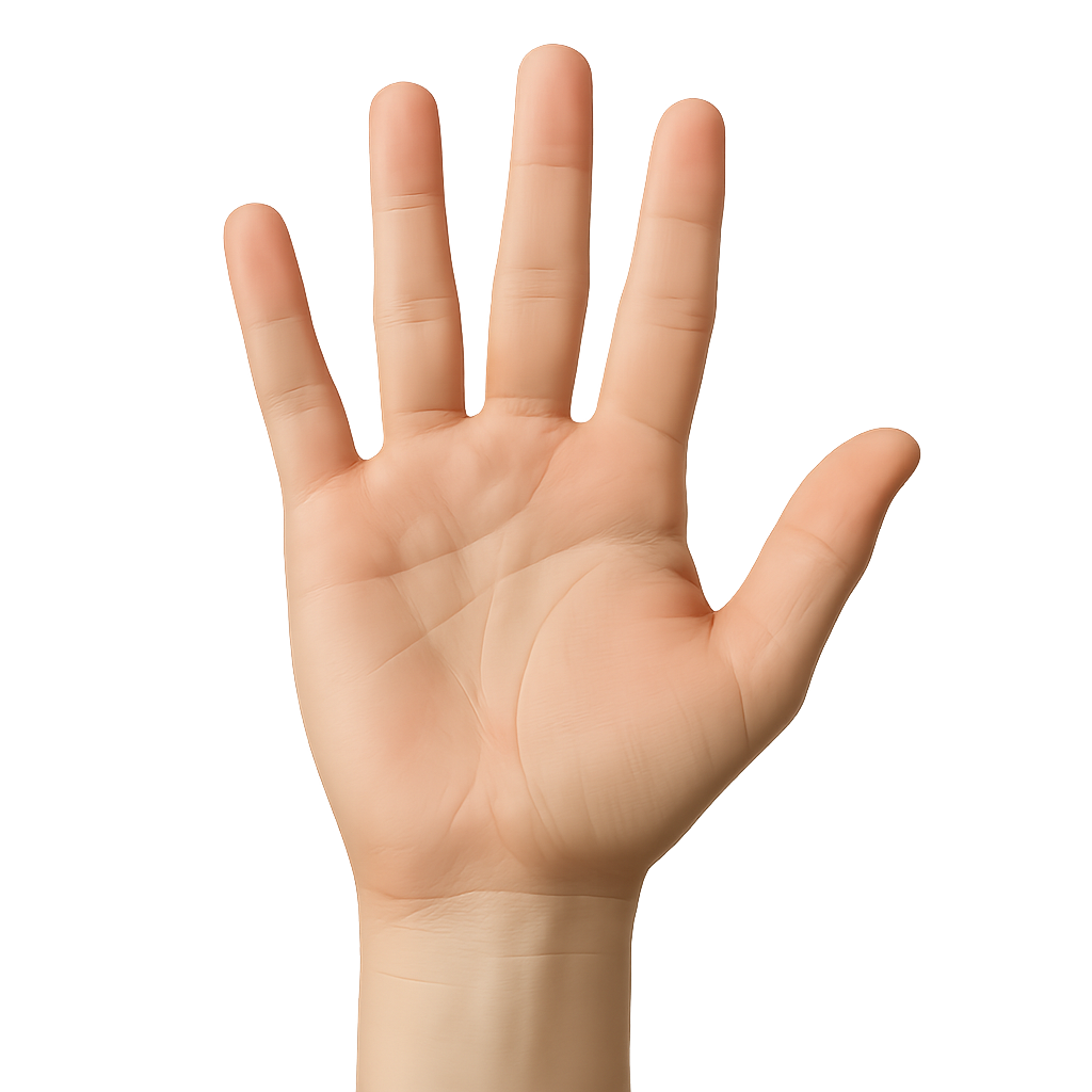 PalmPayConnect